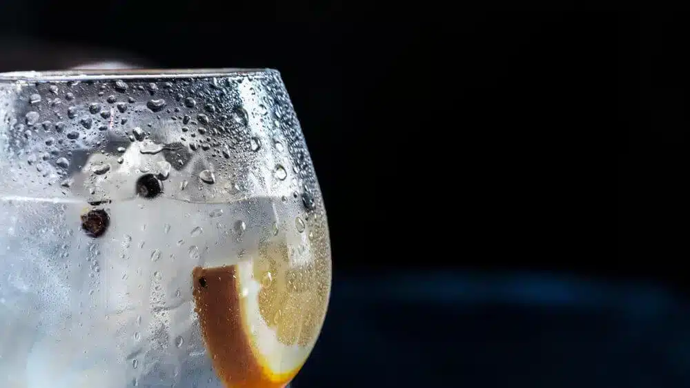 Sprudelwasser mit Zitrone