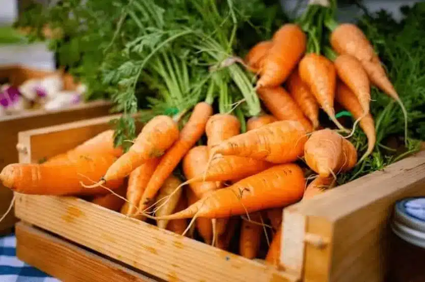 anti-waste recipes carrots