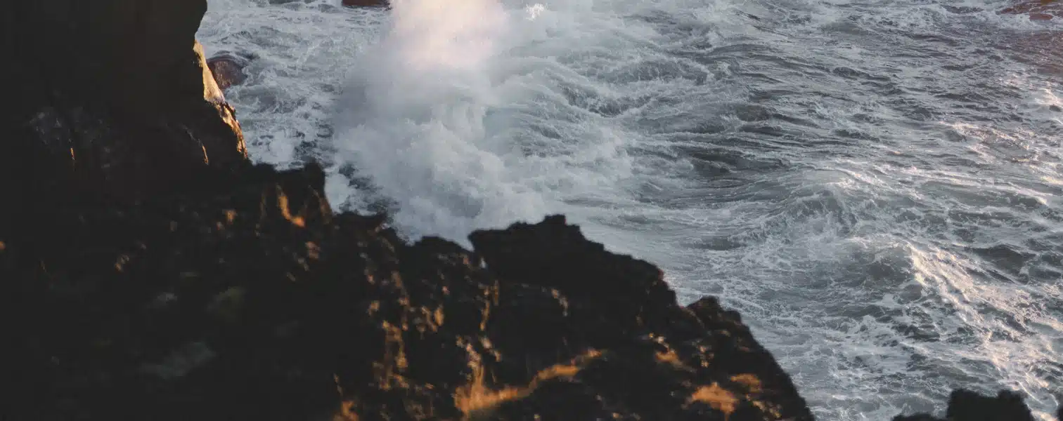 Castalie supports your CSR strategy.