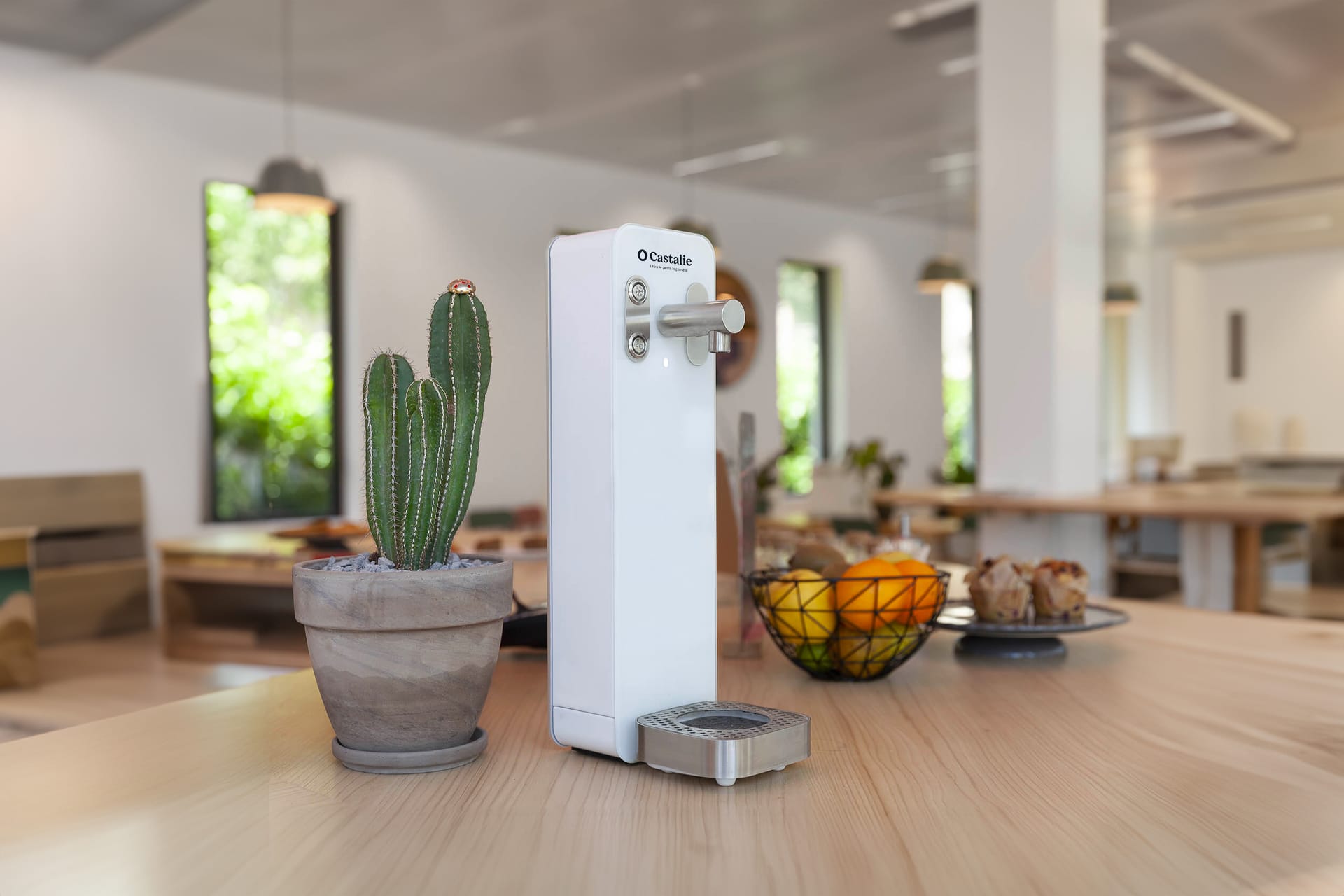 Which water fountain should you choose?