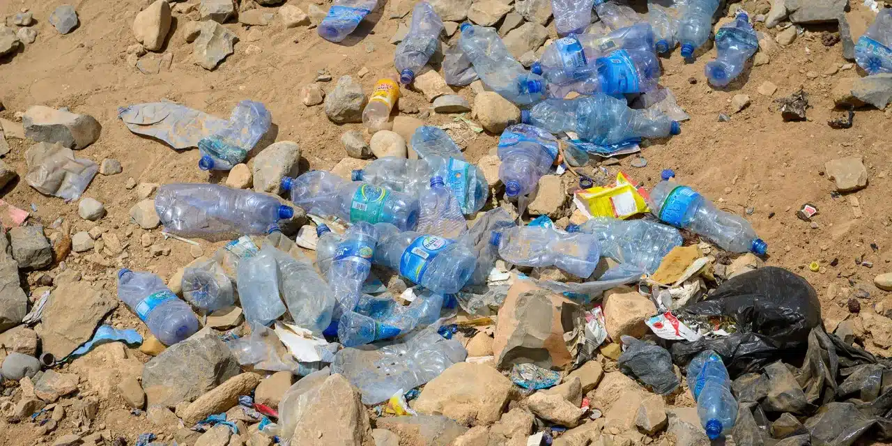Thibault Lamarque (Castalie) roept in een opiniestuk in het JDD op om een einde te maken aan de „waanzin van de plastic flessen”